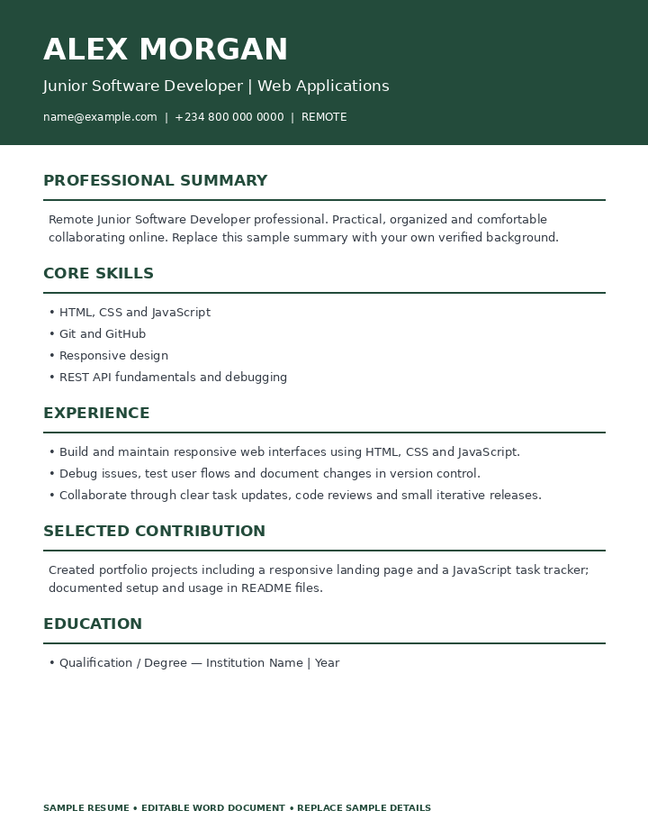 Preview of Remote Software Developer Resume