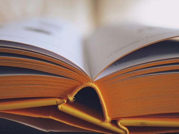 selective focus photography of opened book