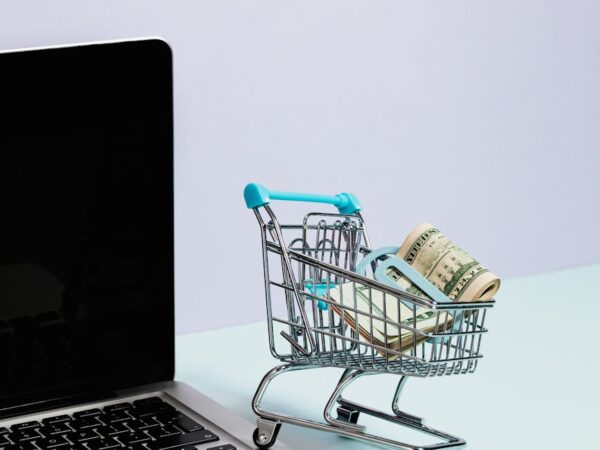 shopping cart with money on top of a laptop