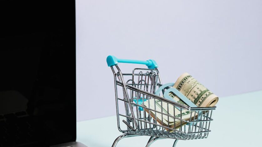 shopping cart with money on top of a laptop