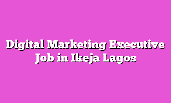 Digital Marketing Executive Job in Ikeja Lagos