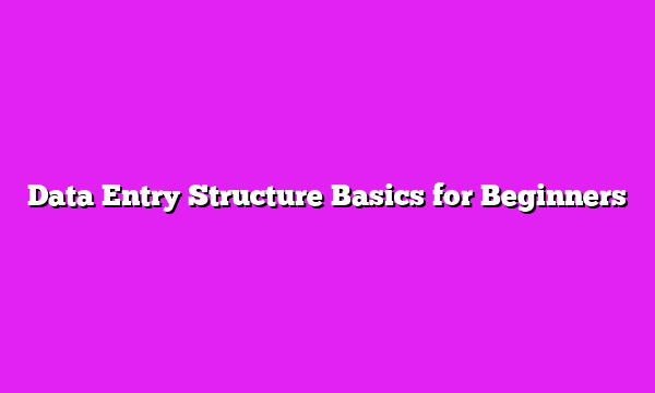 Data Entry Structure Basics for Beginners