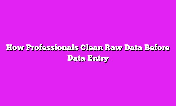 How Professionals Clean Raw Data Before Data Entry