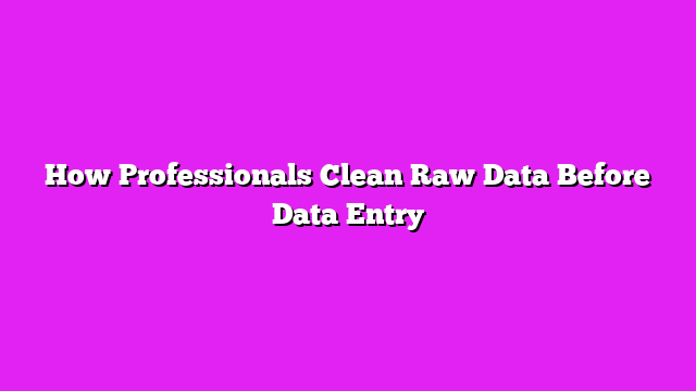 How Professionals Clean Raw Data Before Data Entry