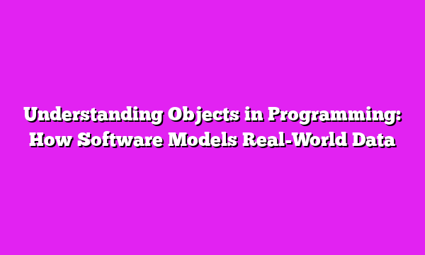 Understanding Objects in Programming: How Software Models Real-World Data