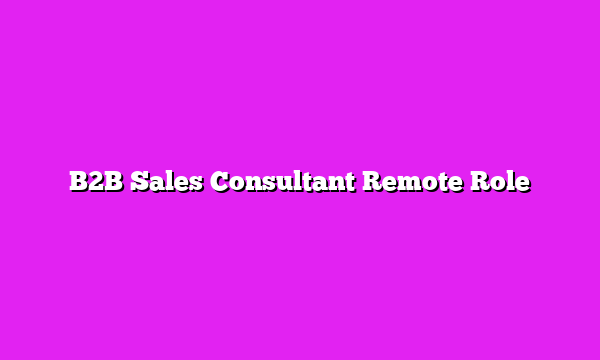 B2B Sales Consultant Remote Role